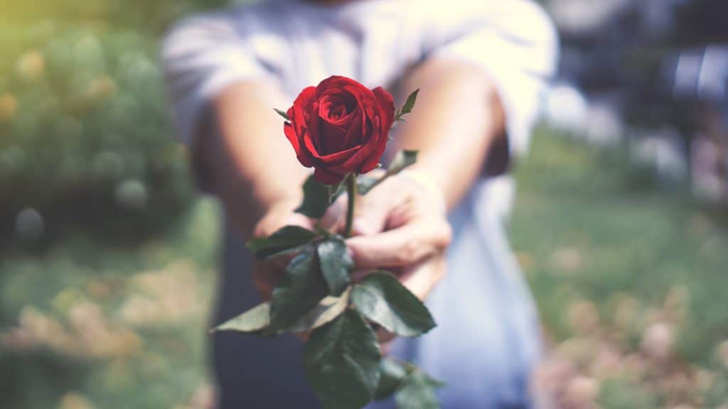 Kako djevojci pokloniti ružu