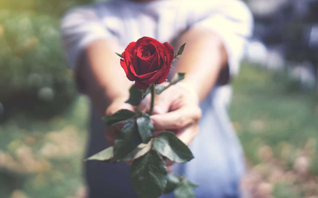 Kako djevojci pokloniti ružu